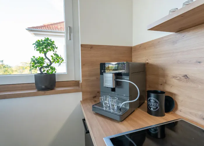 Διαμέρισμα Supreme Dream Mit Terrasse Und Parkplatz - 110m² Δρέσδη